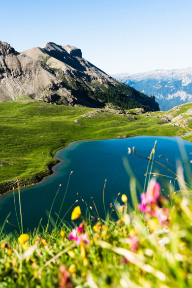 pr-de-madame-carle-parc-national-des-crins-pays-des-crins