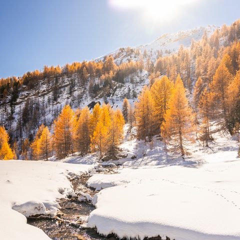 Le soleil illumine une plaine, traversée par le torrent
