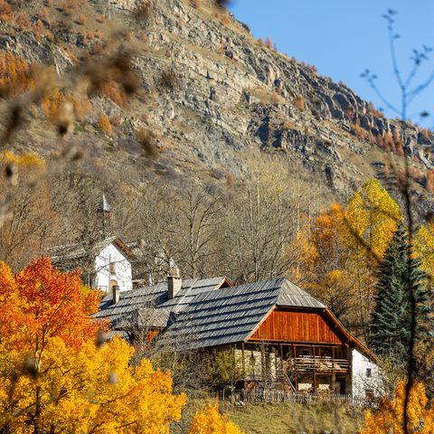 Entré les mélèzes se distingue les maisons de Dormillouse