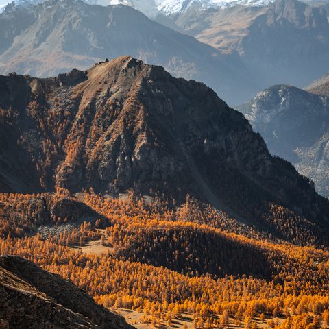 Vue sur la vallée de L'Argentière-la-Bessée et sur une foret de mélèze orange