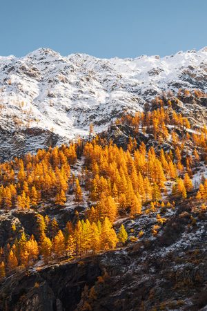 Vue sur les sommets enneigés environnants de la vallée de Celse Nière avec les mélèzes dorés