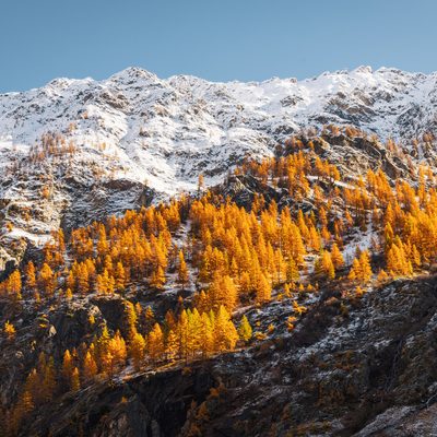 Vue sur les sommets enneigés environnants de la vallée de Celse Nière avec les mélèzes dorés
