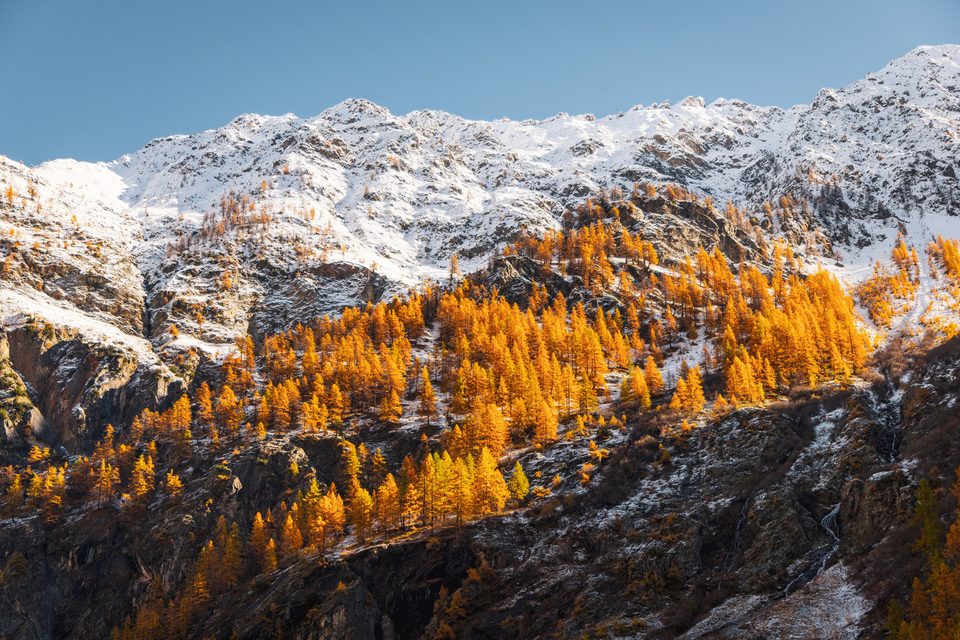 Vue sur les sommets enneigés environnants de la vallée de Celse Nière avec les mélèzes dorés